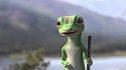 Geico Insurance